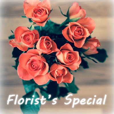 Flower-Floris's Special
