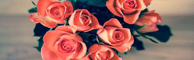 Rose-1 Special Price: $40
