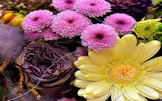 Chrysanthemum Basket-1: $60