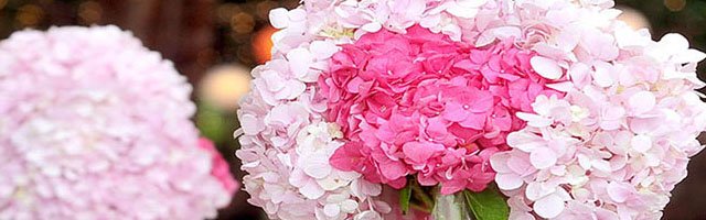 Wedding Flower-2: $80