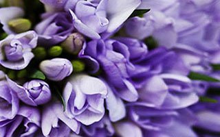 Wedding Bouquet-2: $90