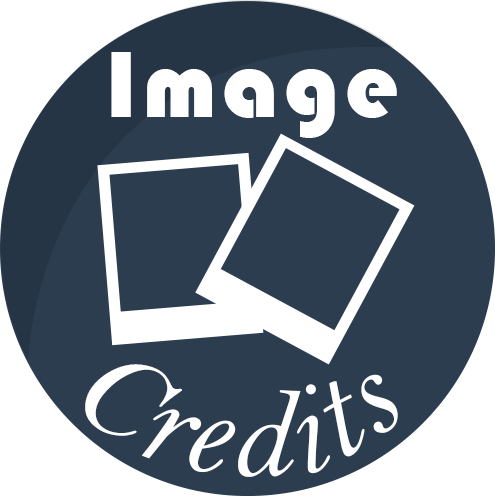credit-icon